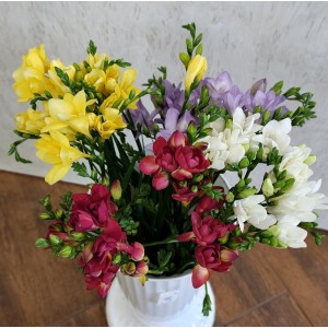 Ароматен букет от пъстри фрезии „Пролетна приказка“